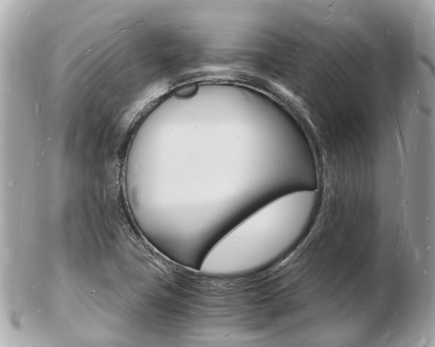X0000103291411200808291058