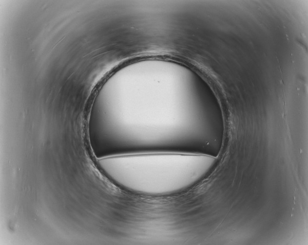 X0000103291412200808291058