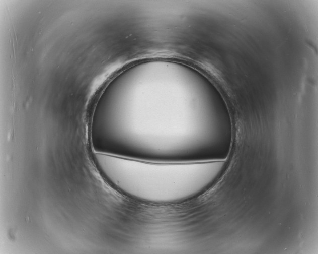 X0000103291414200808291058