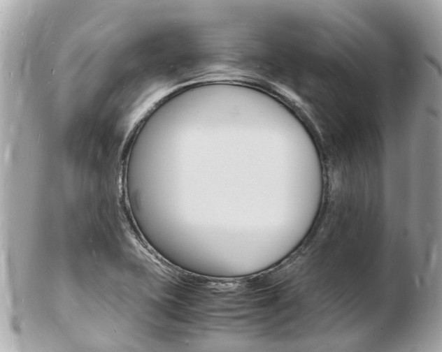 X0000103291415200808291058