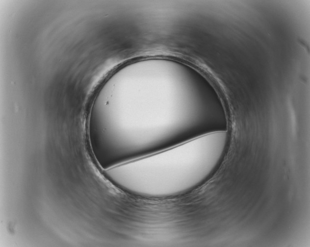 X0000103291416200808291058
