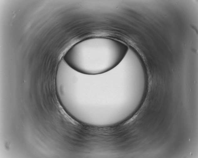 X0000103291417200808291058