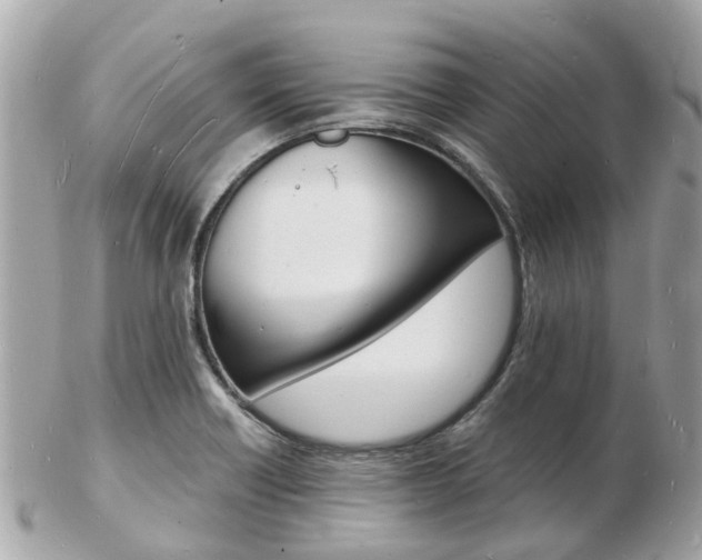 X0000103291418200808291058