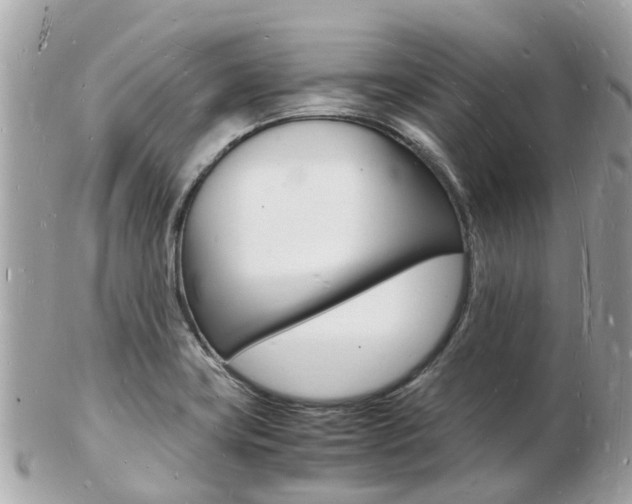 X0000103291419200808291058