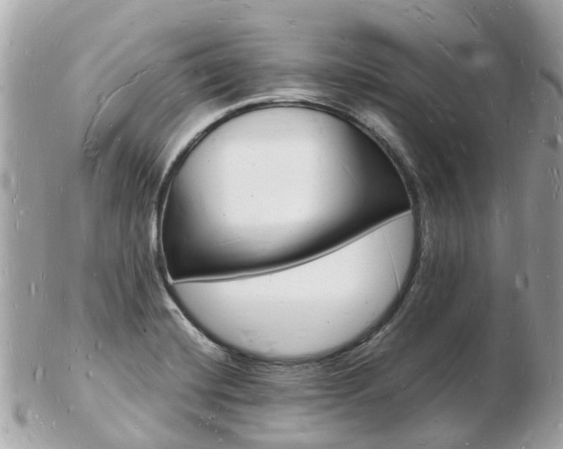 X0000103291420200808291058
