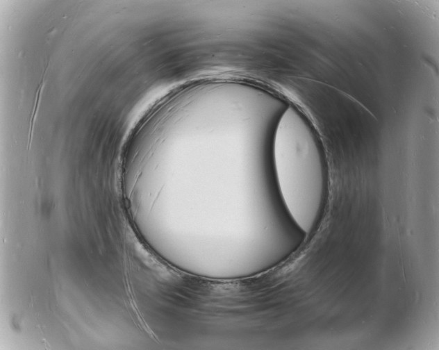 X0000103291421200808291058