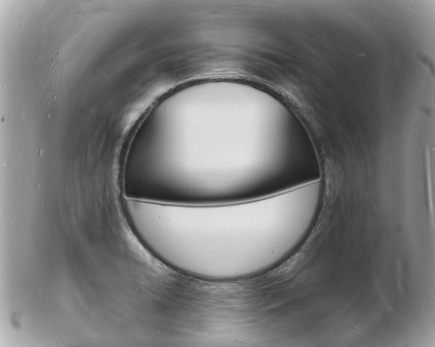 X0000103291422200808291058