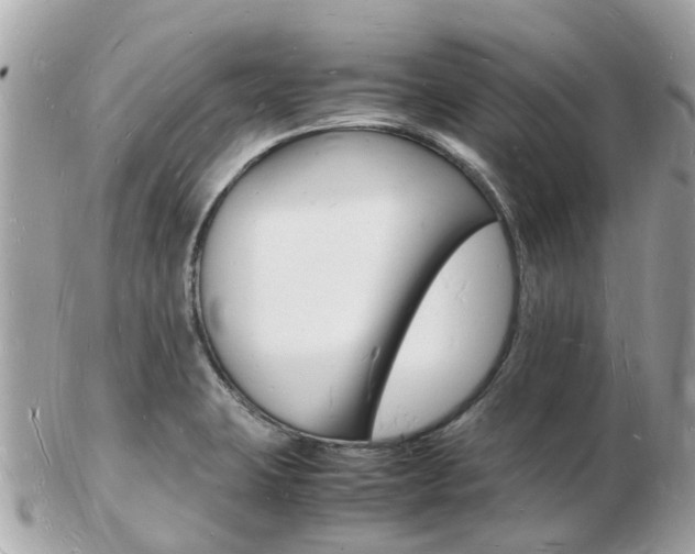 X0000103291423200808291058