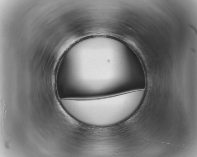X0000103291424200808291058