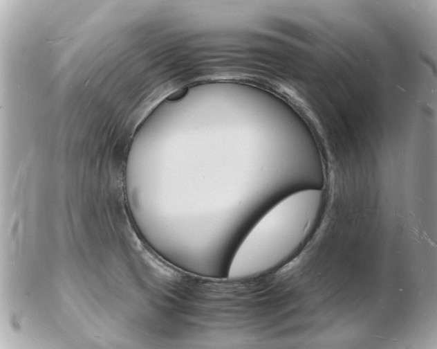 X0000103291425200808291058