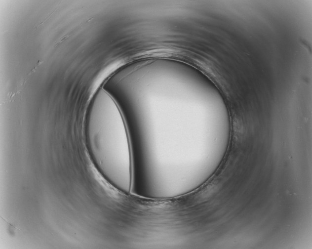 X0000103291426200808291058