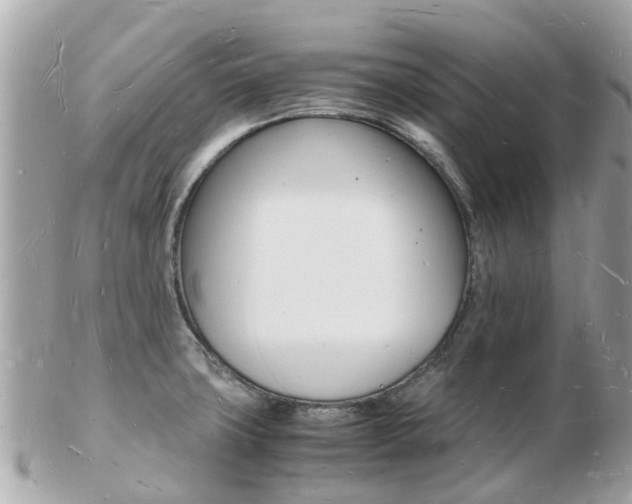 X0000103291427200808291058