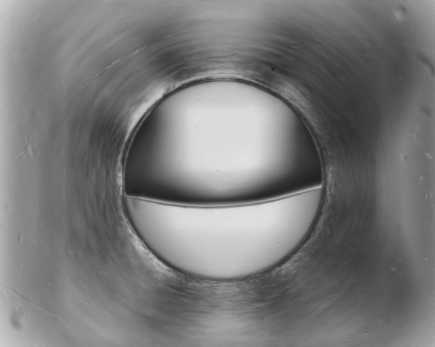 X0000103291428200808291058