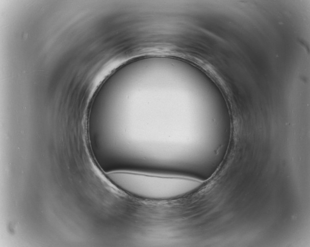 X0000103291432200808291058
