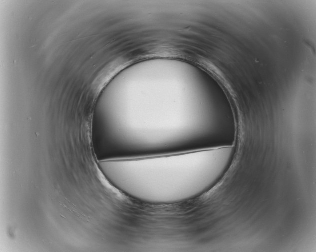X0000103291433200808291058