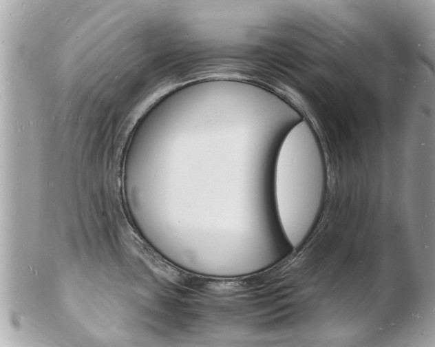 X0000103291435200808291058