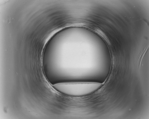 X0000103291436200808291058