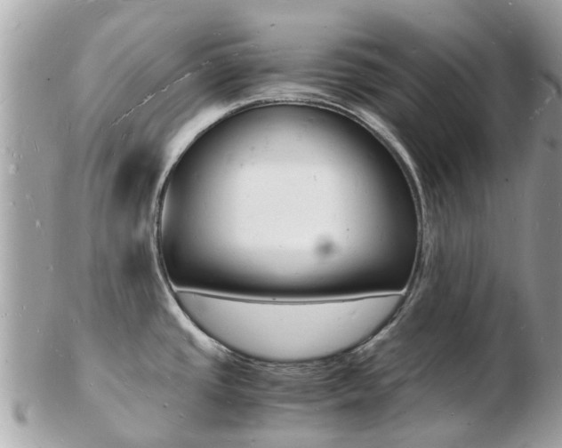 X0000103291437200808291058