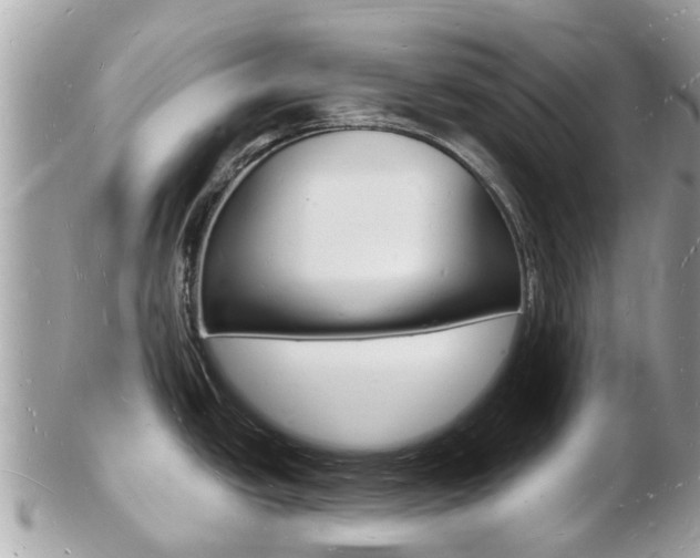 X0000103291438200808291058