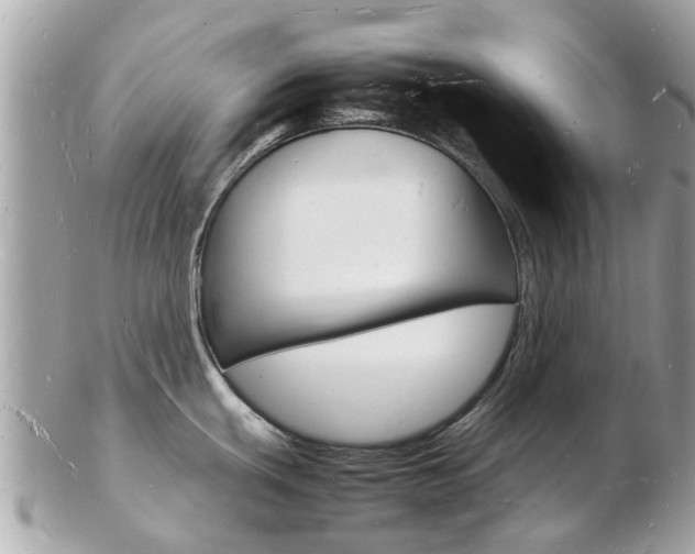 X0000103291439200808291058