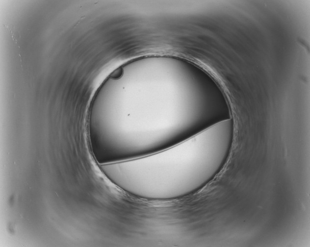 X0000103291440200808291058