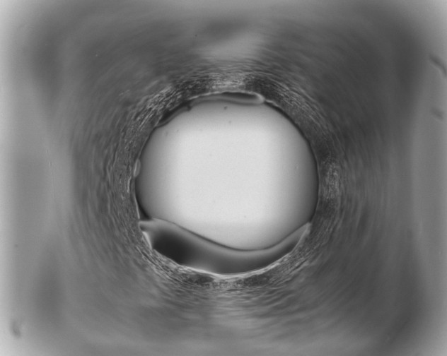 X0000103291441200808291058