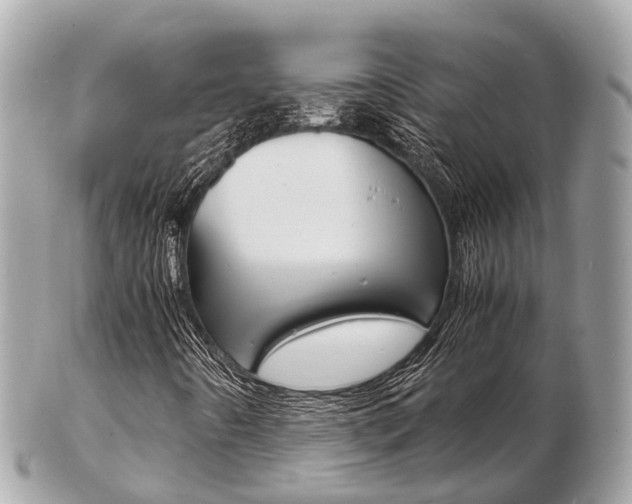 X0000103291442200808291058