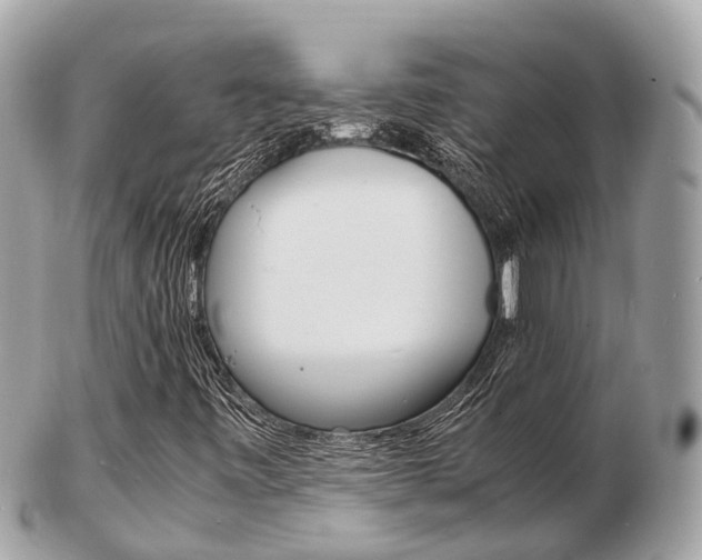 X0000103291443200808291057