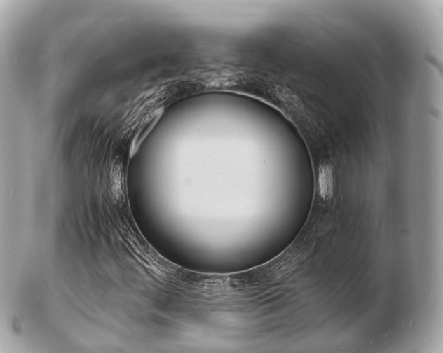 X0000103291444200808291057