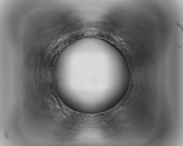 X0000103291445200808291057