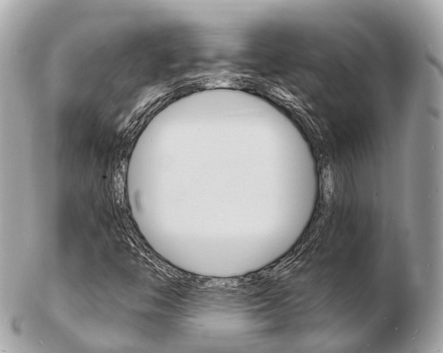 X0000103291446200808291057