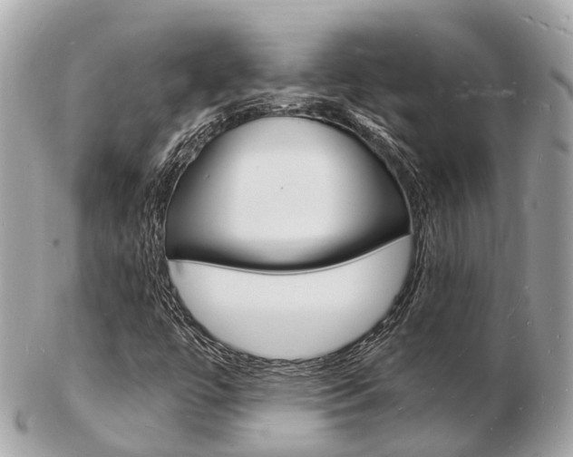X0000103291447200808291057