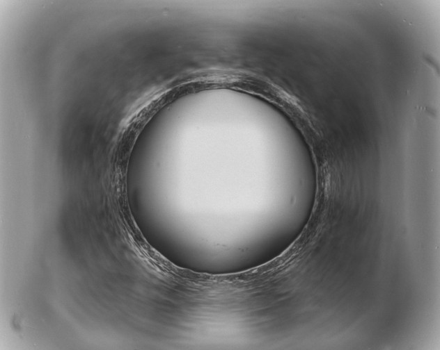 X0000103291448200808291057