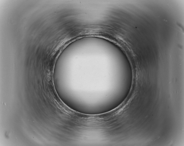 X0000103291449200808291057