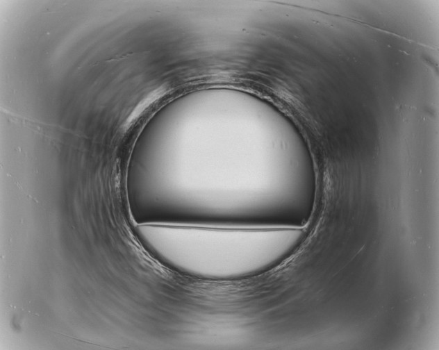 X0000103291450200808291057