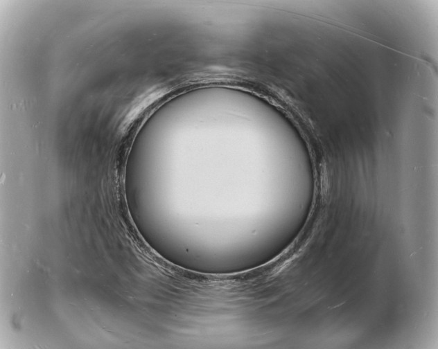 X0000103291453200808291057