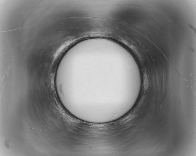 X0000103291454200808291057