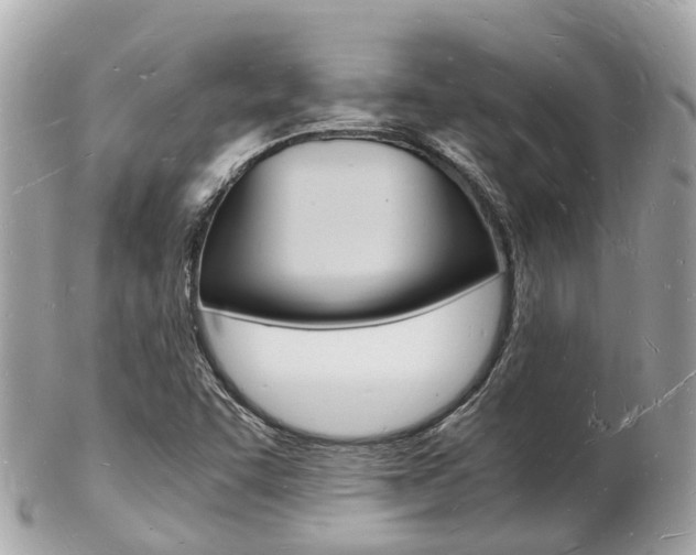 X0000103291455200808291057