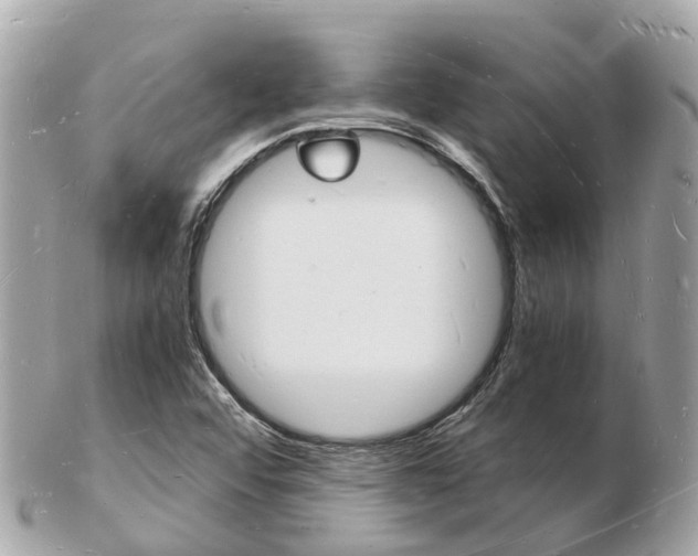 X0000103291456200808291057