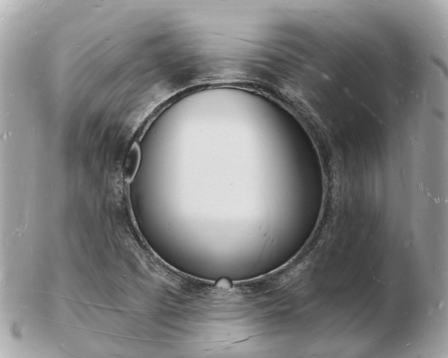 X0000103291457200808291057