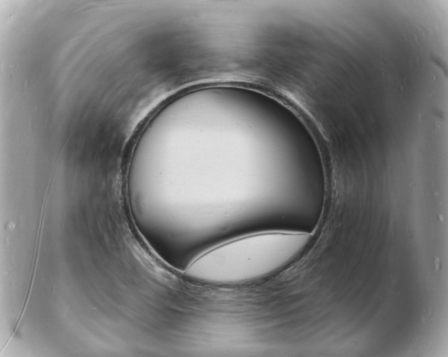 X0000103291460200808291057