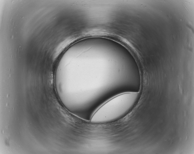 X0000103291461200808291057