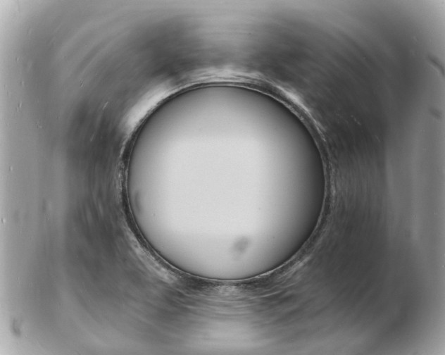 X0000103291463200808291057
