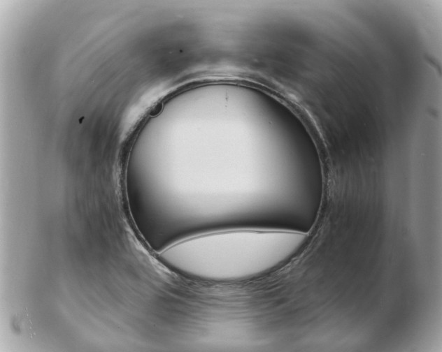 X0000103291464200808291057