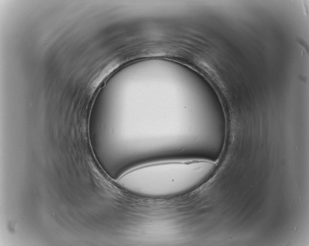 X0000103291465200808291057