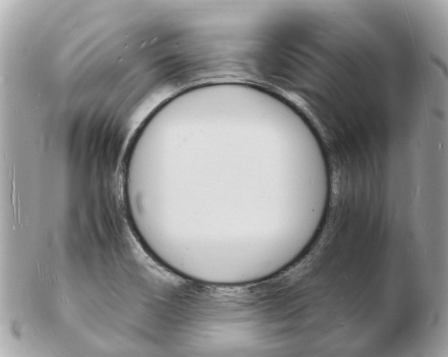 X0000103291466200808291057