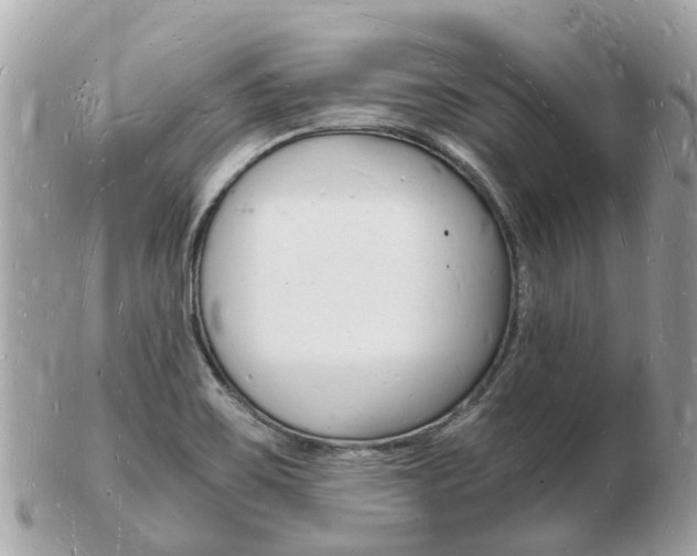 X0000103291467200808291057