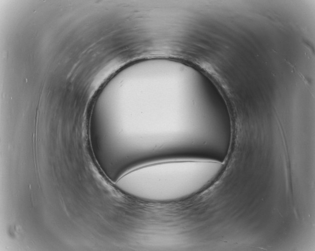 X0000103291469200808291057
