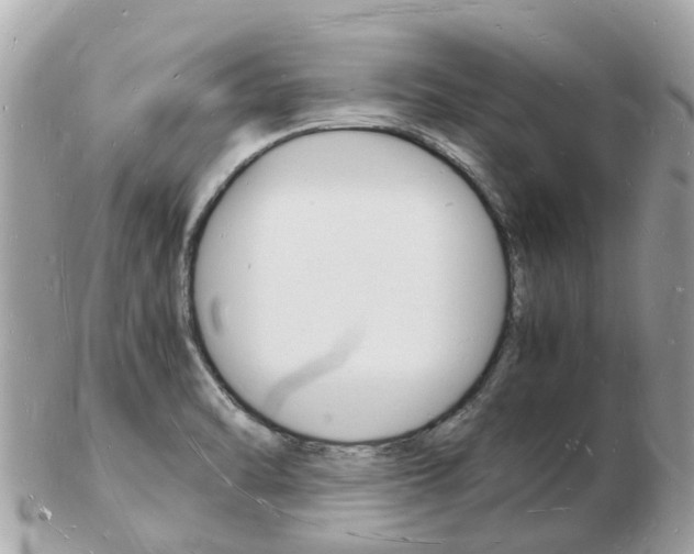 X0000103291470200808291057