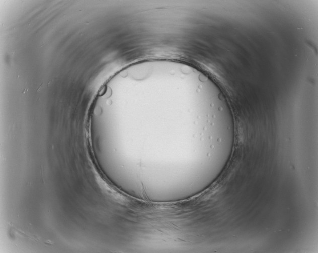 X0000103291471200808291057